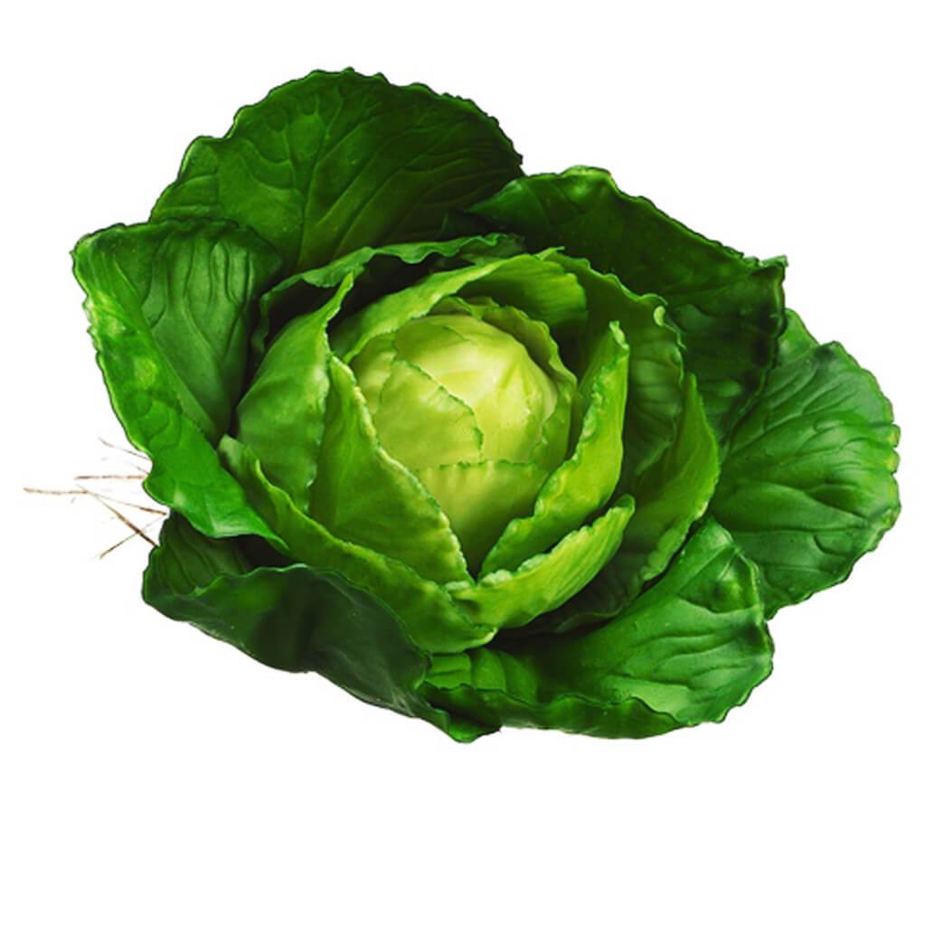 Baby Cabbage 4&quot; Green 