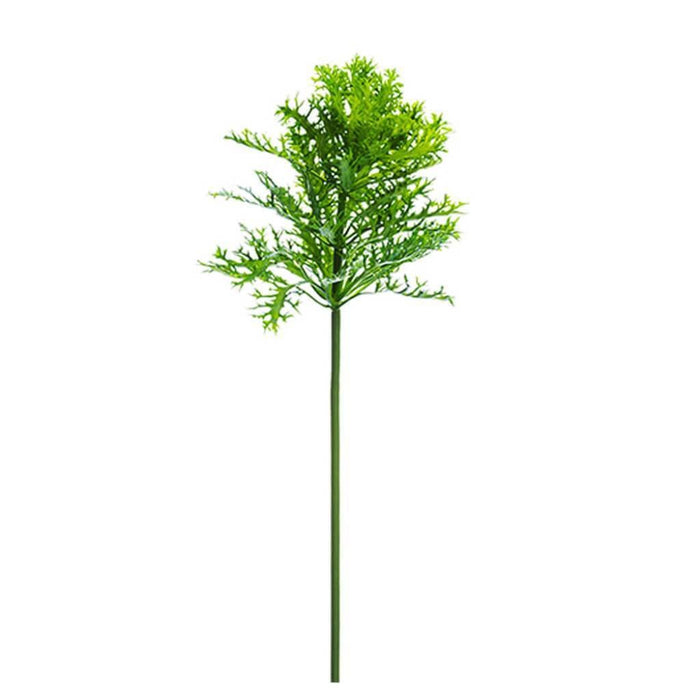 Cabbage Spray 36.5" Gr/Tt 