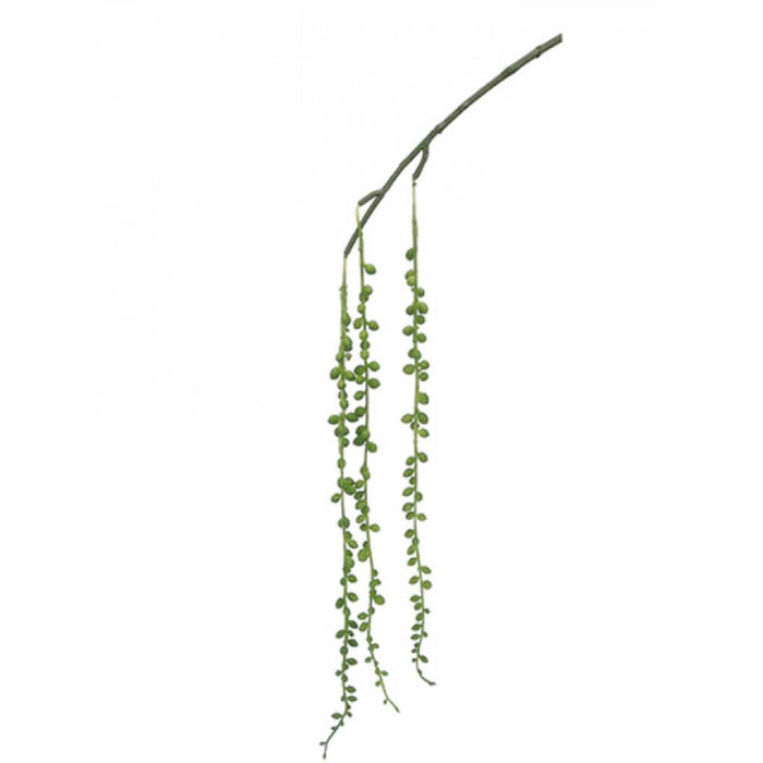 String Of Pearl Spray 33" Gr 