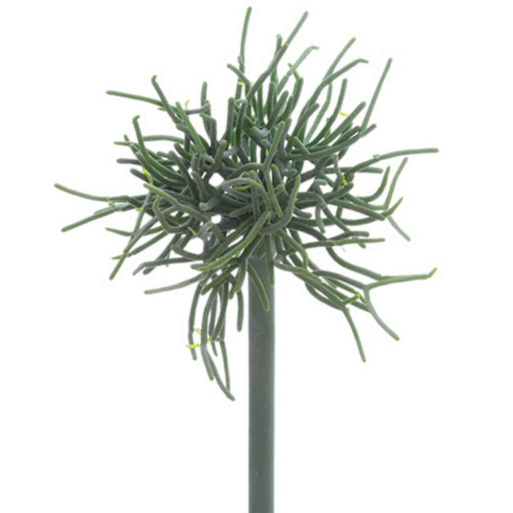 Pencil Cactus Pick 9" Gr/Gy 