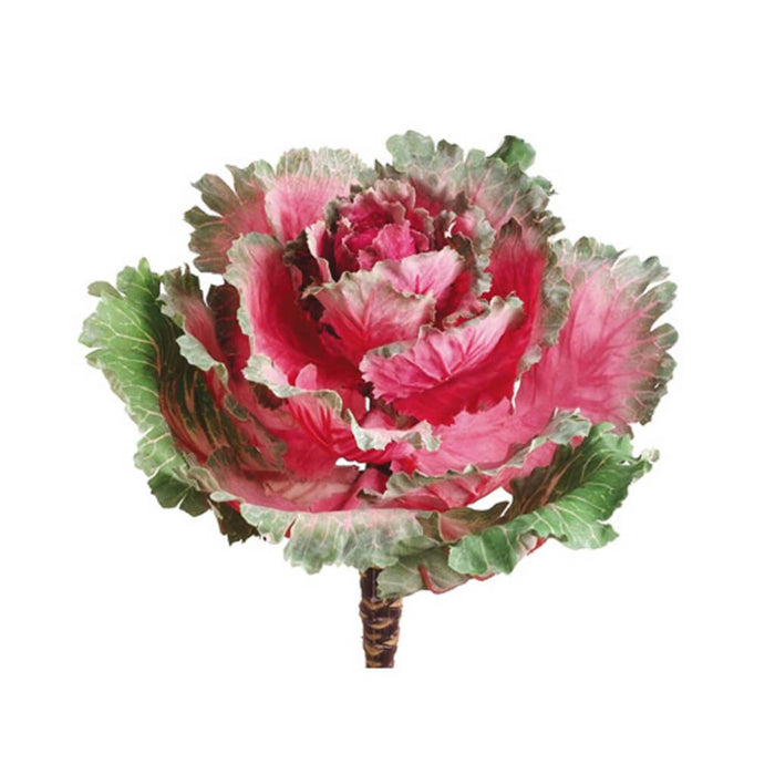 Ornamental Cabbage 11.5" Ce/Gr 