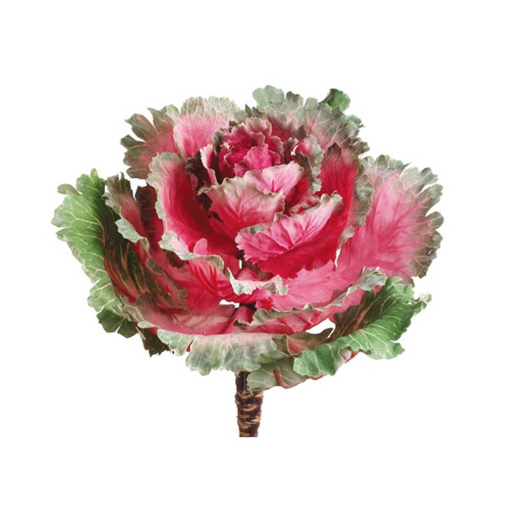 Ornamental Cabbage 11.5" Ce/Gr 