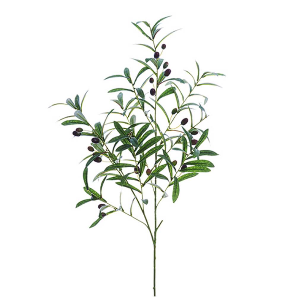Olive Branch 40" Gr/Bu 