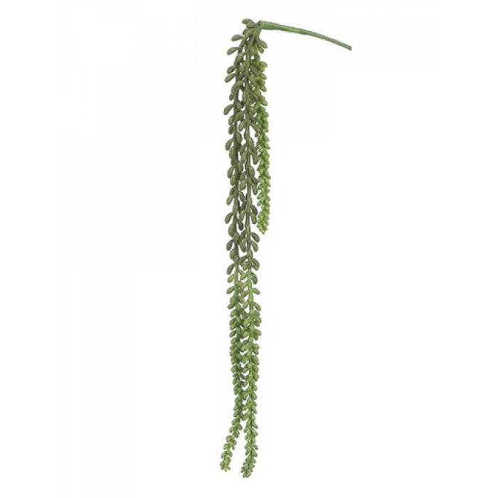 Nertera Berry Hanging Pick 26" 