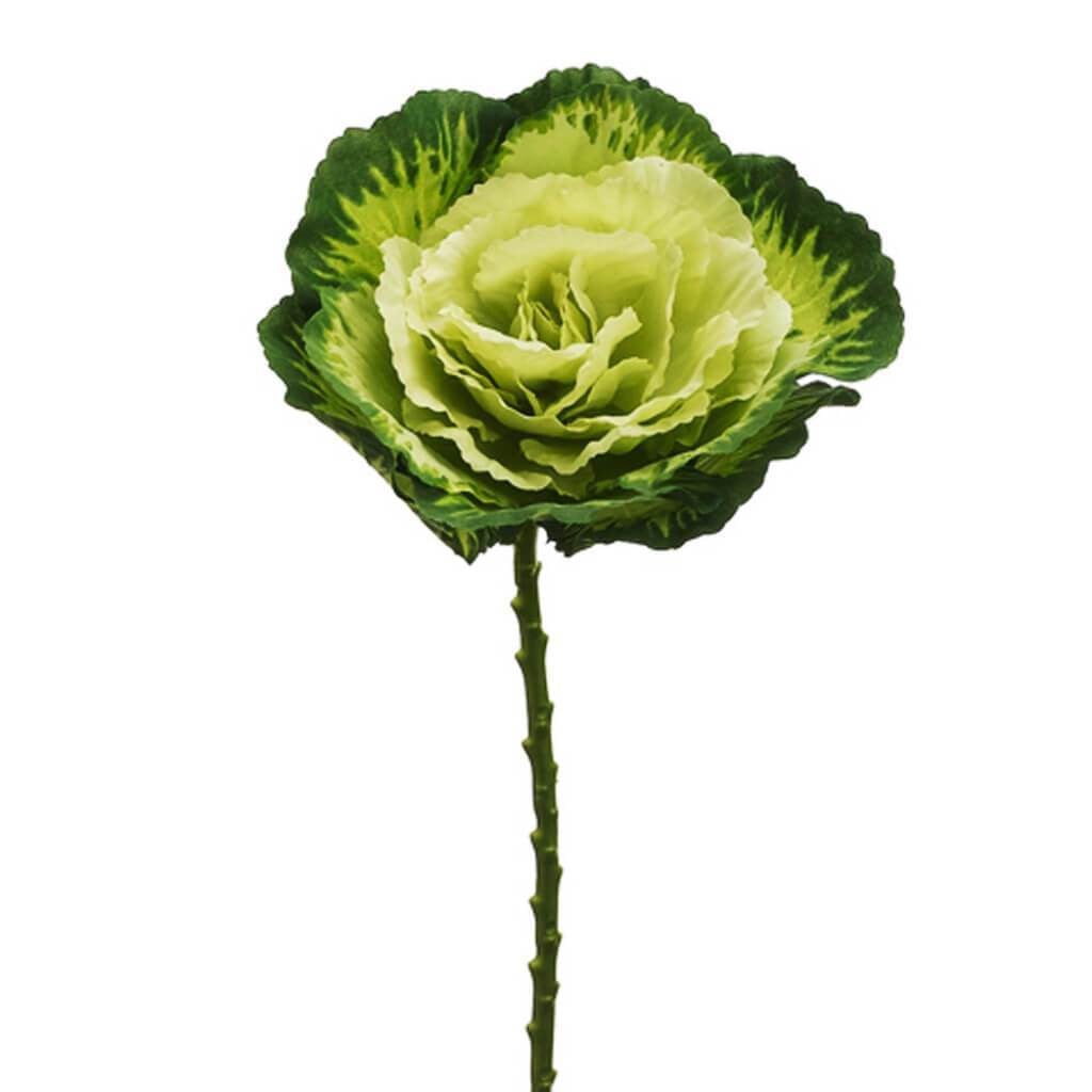 Cabbage Spray 19" Gr/Gr 