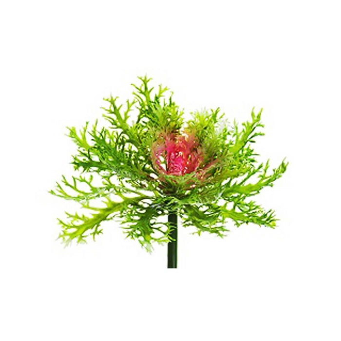 Cabbage Spray 9" Gr/Pk 