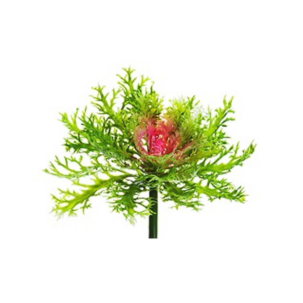 Cabbage Spray 9&quot; Gr/Pk 