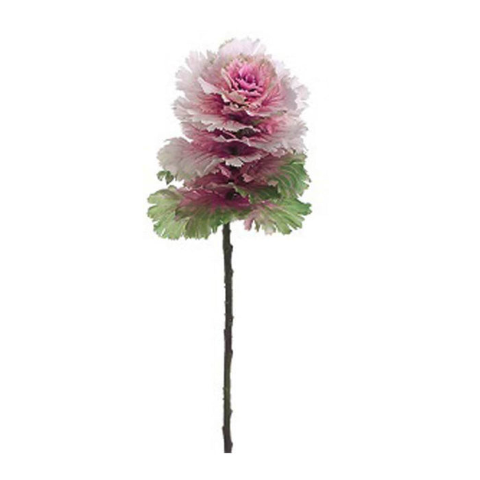 Cabbage Spray 24" Gr/Ll 