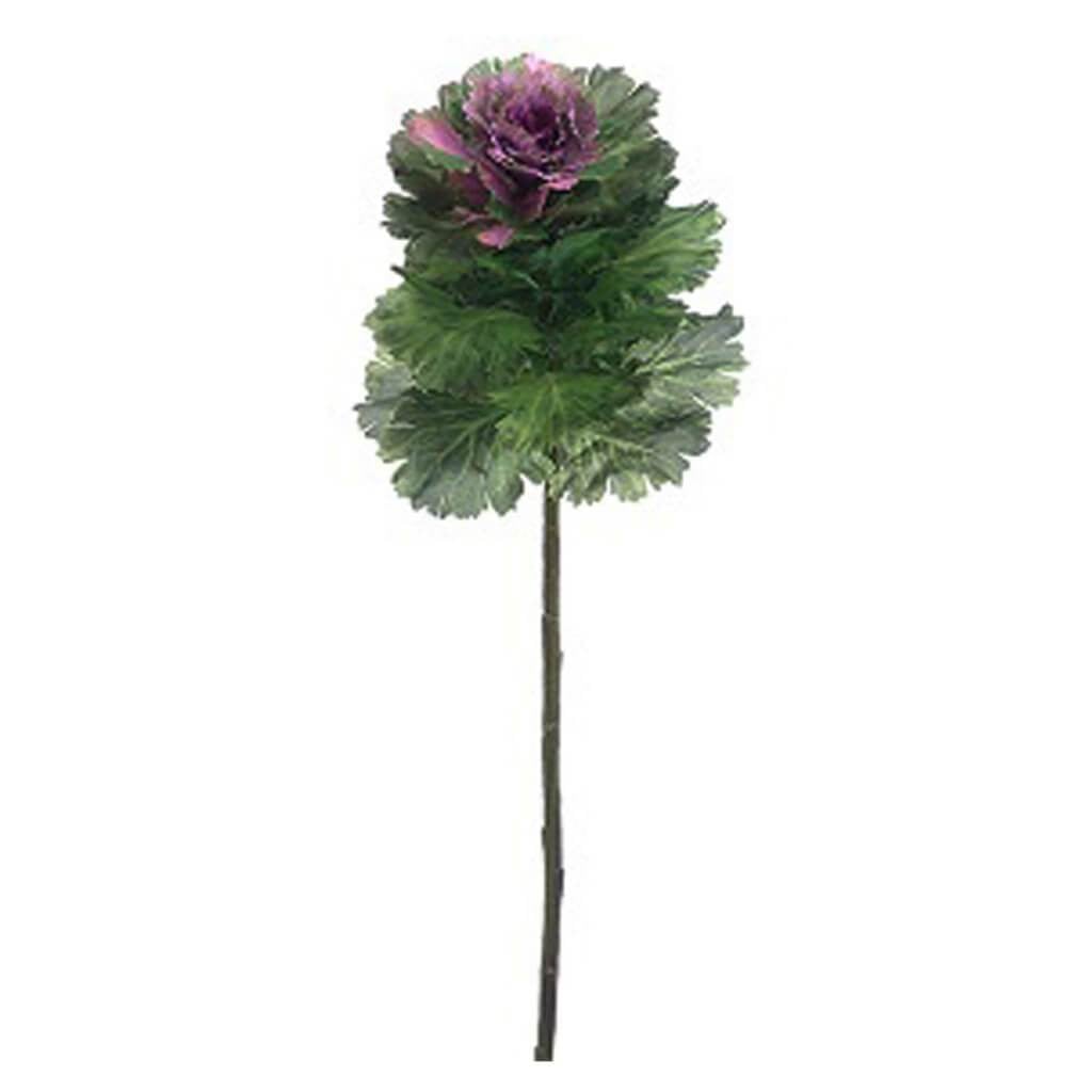 Cabbage Spray 24" Gr/Bb 