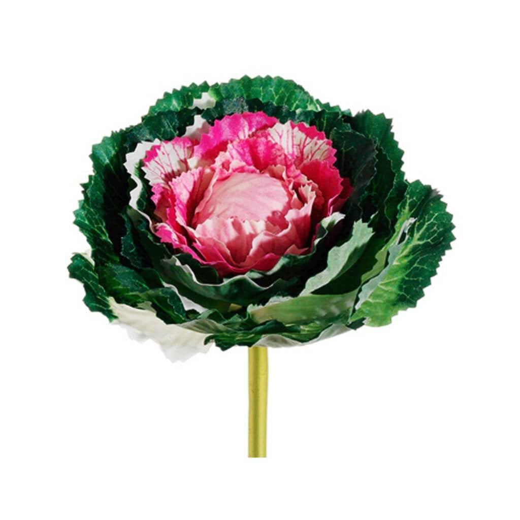 Cabbage Pick 5" Mv/Gr 