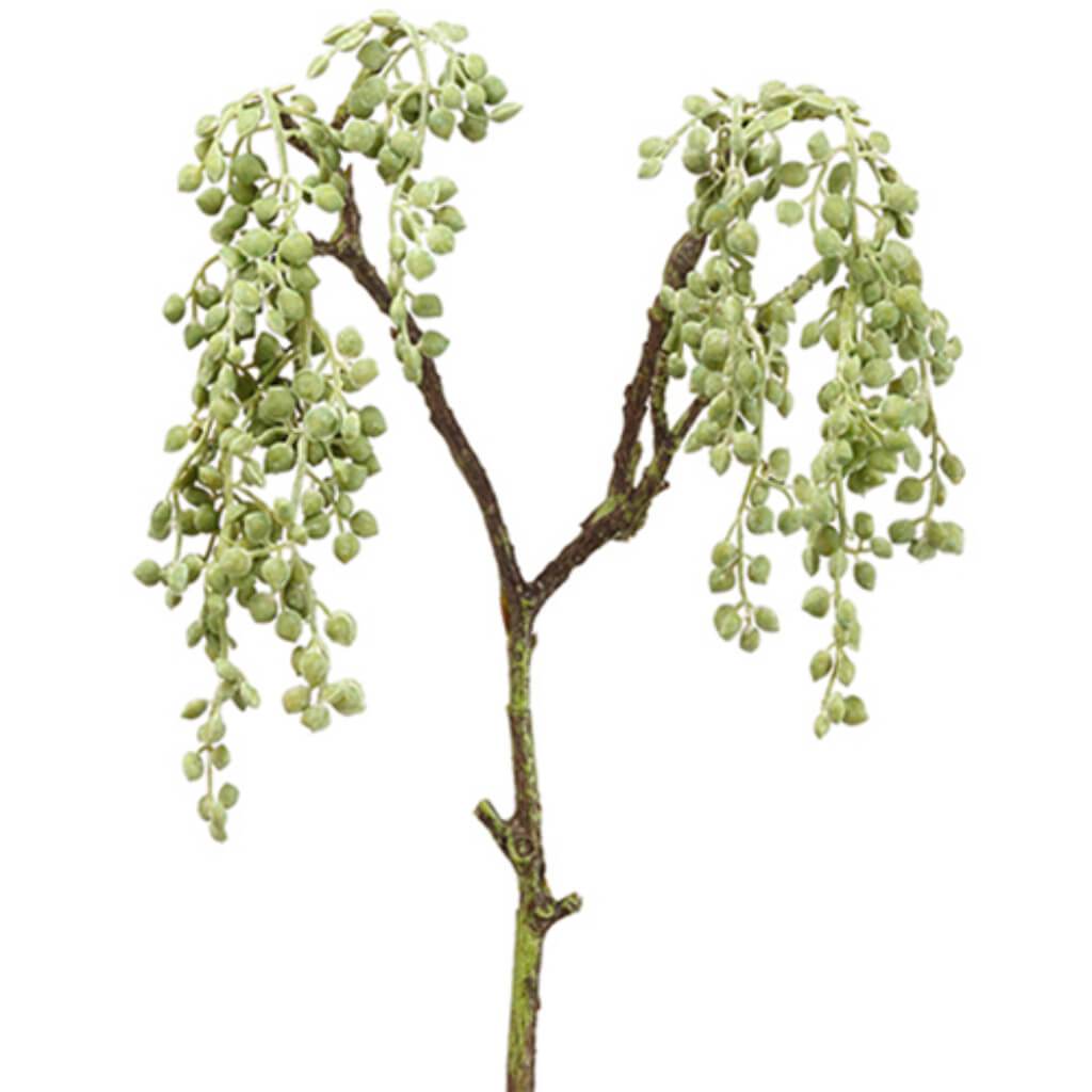 String Of Pearl Spray 19" Gr/Gy 