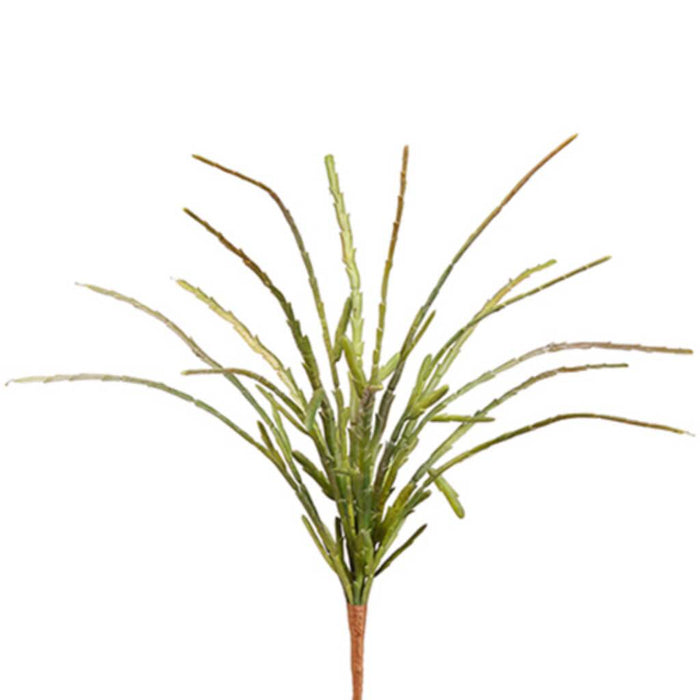 Pencil Cactus Bush 13" Gr/Bu 