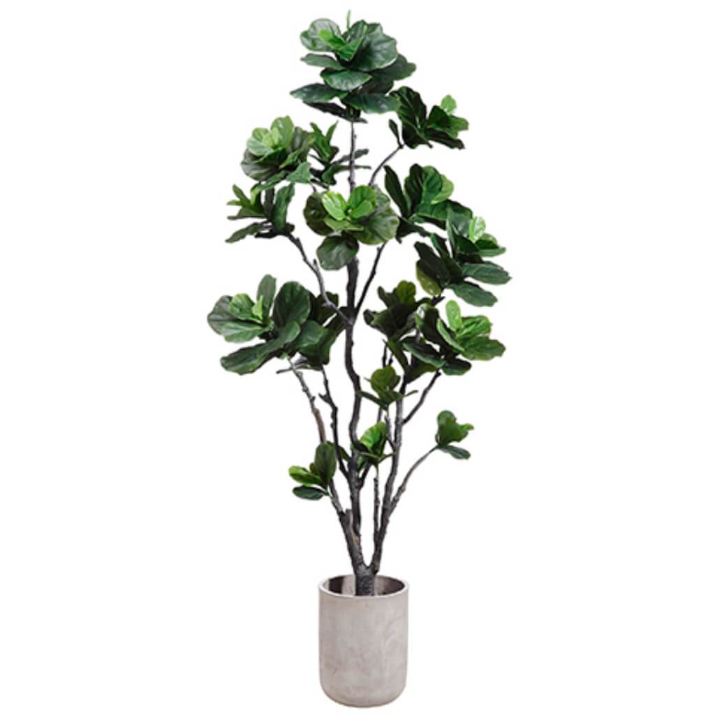 Fig Fiddle Leaf Tree Fiber Cement Planter 7.5ft