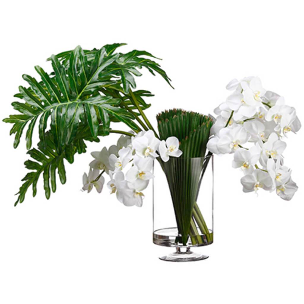 Phal/Sellou/Palm(V) 30H29W40&quot; L 