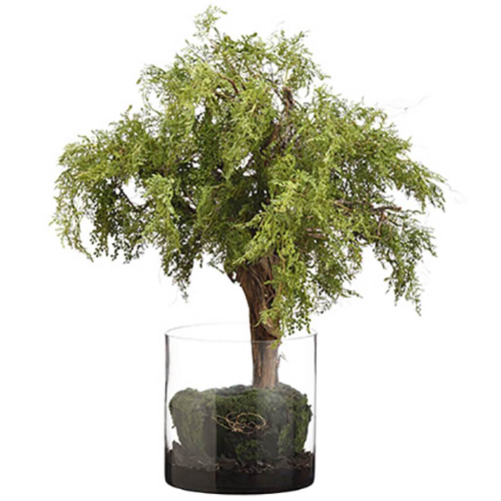 Fern/Berry Tree (V) 20H27W27" L 