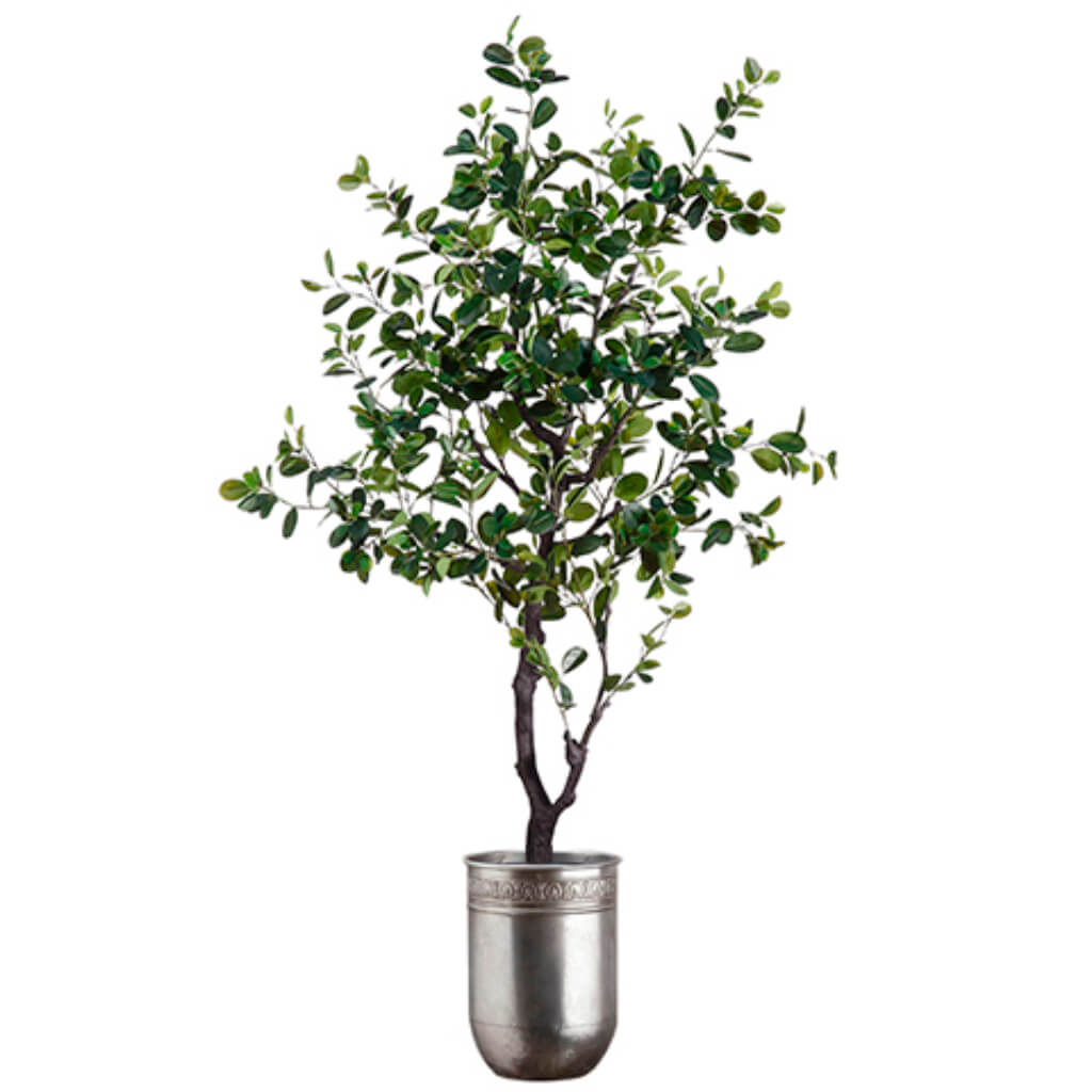 EVA Ficus Tree (Tin Planter) 6ft