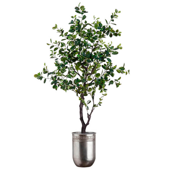 EVA Ficus Tree (Tin Planter) 6ft
