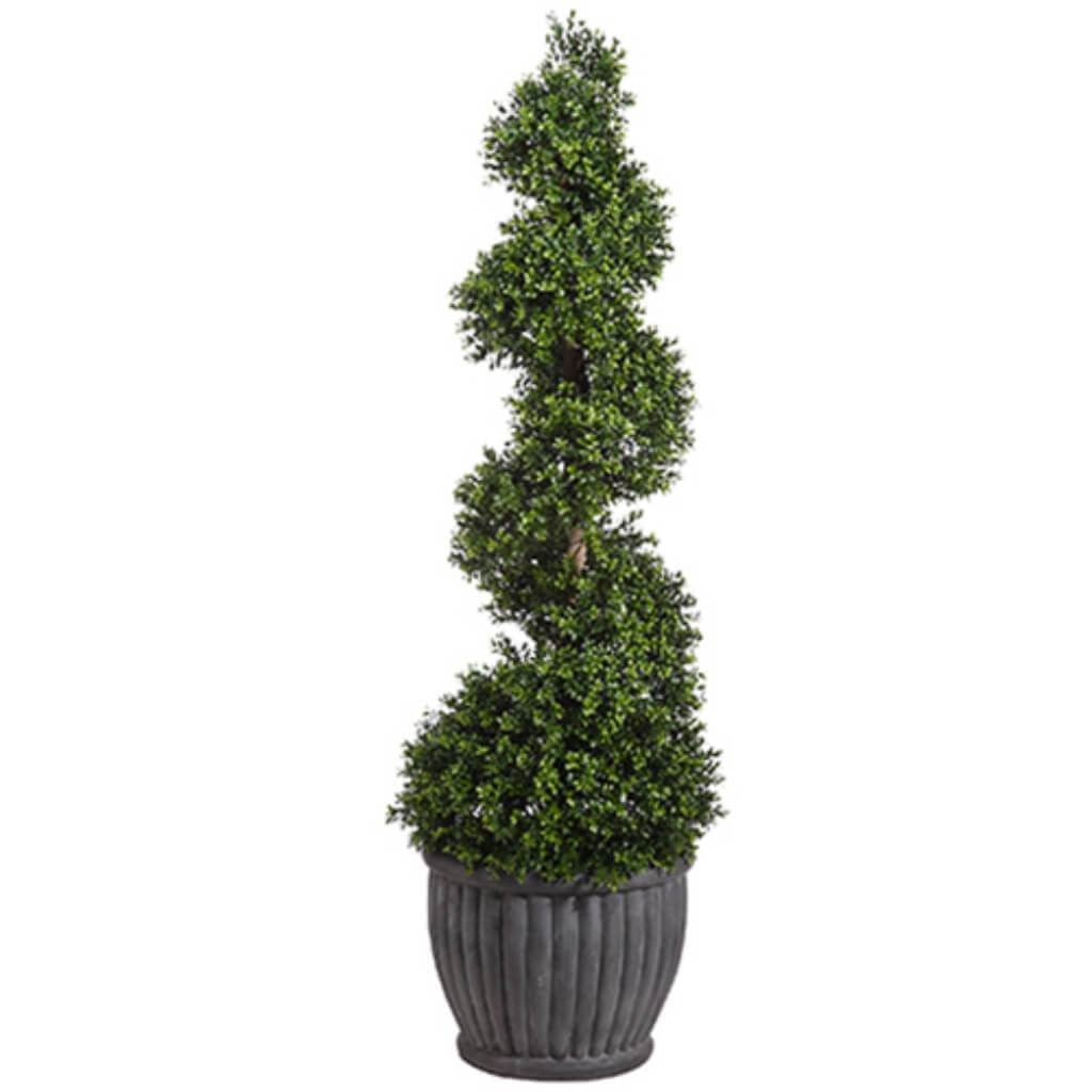 Boxwood Topi(Cement Planter 76in 