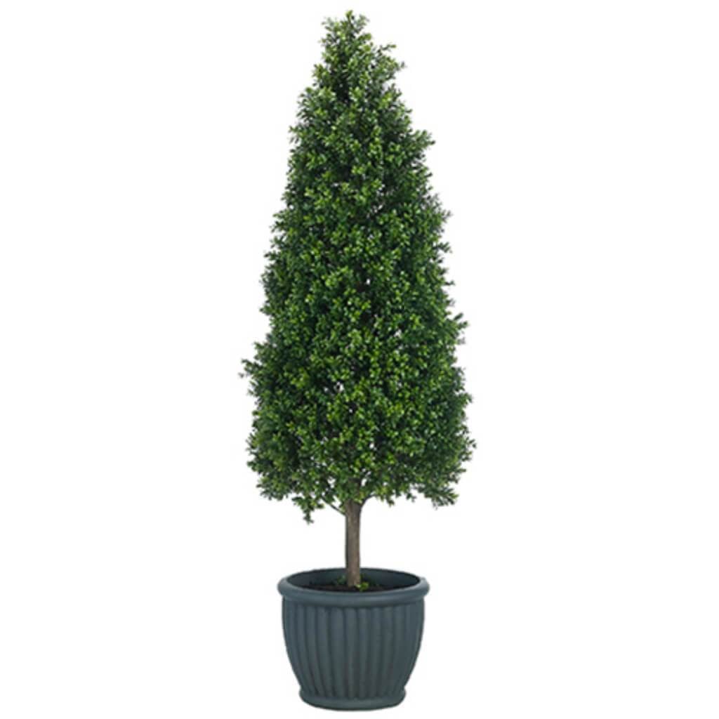 Boxwood Topi(Cement Planter 69&quot; 