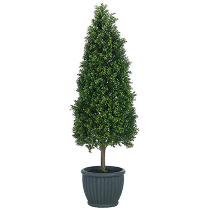 Boxwood Topi(Cement Planter 69" 