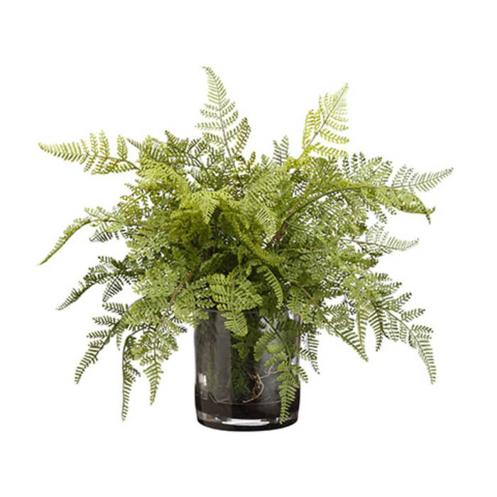 Lace Fern/Soil (V) 17H20W20" L 