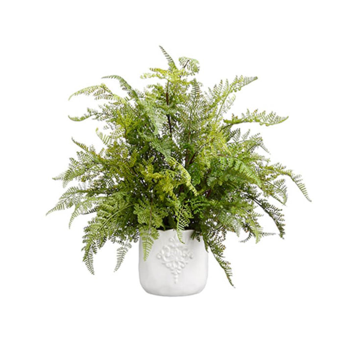 Lace Fern Bush (V) 19H20W20" L 