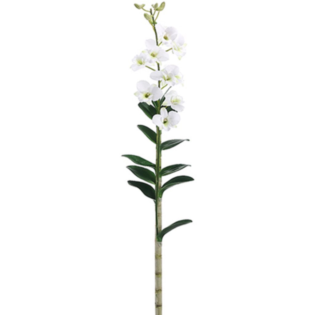 Dendrobium Plant 9F5B13L 47&quot; Wh 
