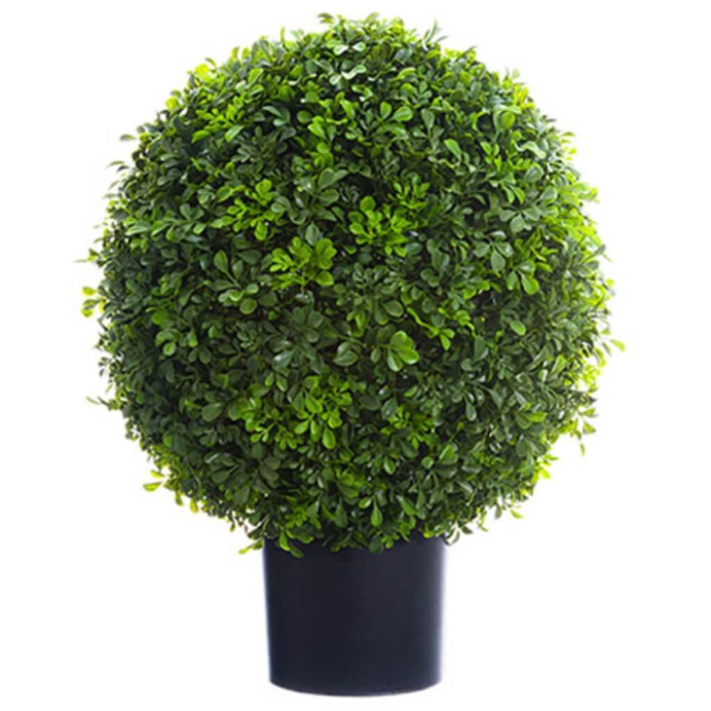 Boxwood Ball Topiary (P) 22&quot; Gr 