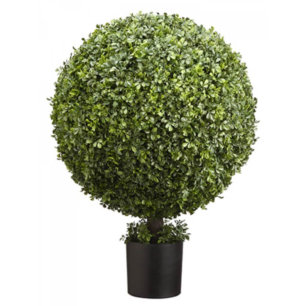 Boxwood Ball Topiary (P) 36&quot; Gr 