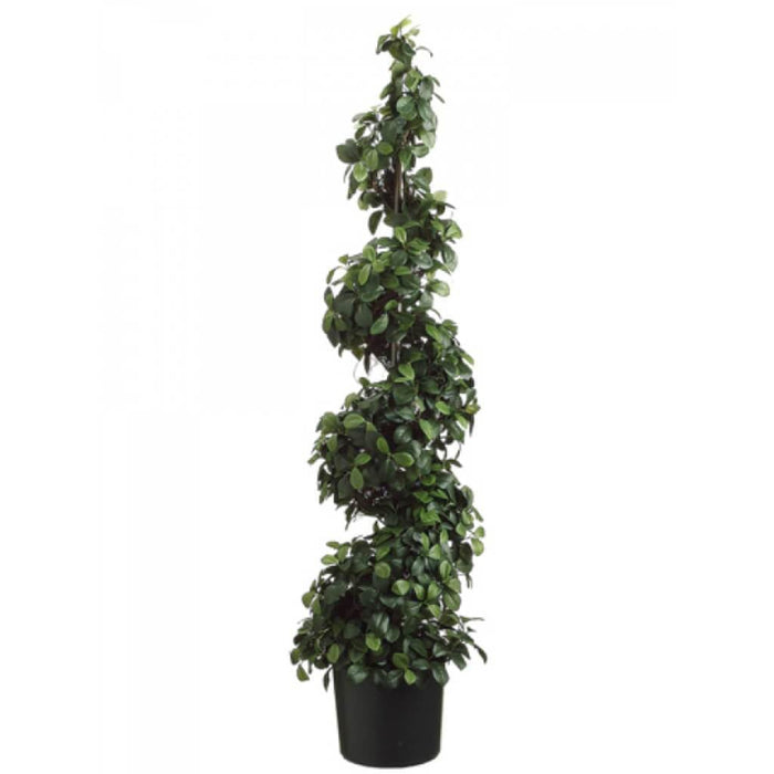 Citrus Leaf Spi.Top.(P) 48" Grtt 