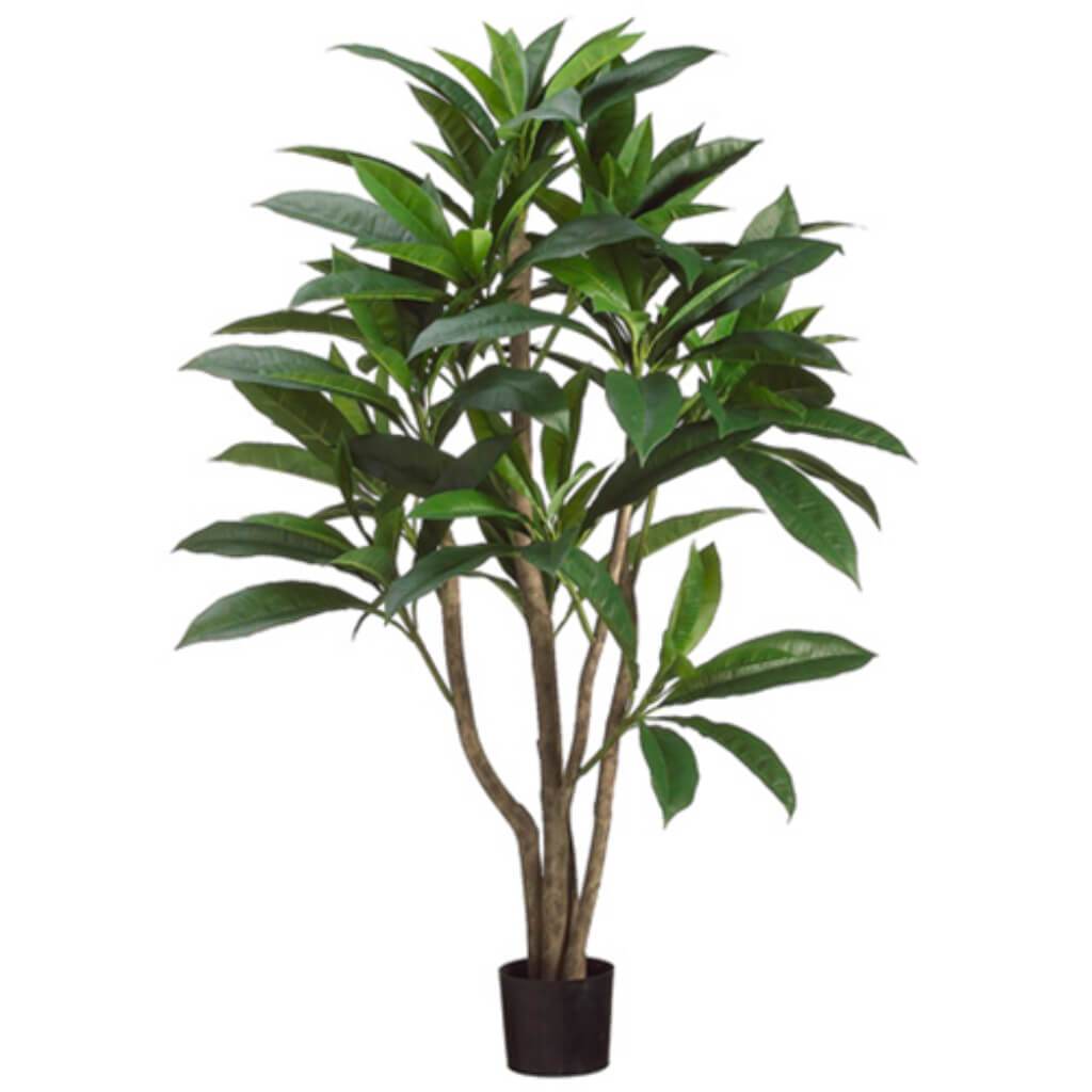 Plumeria Leaf Tree(P) 4' Gr/Tt 