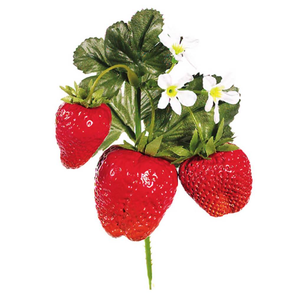 Strawberry Pick X 3 6&quot; 