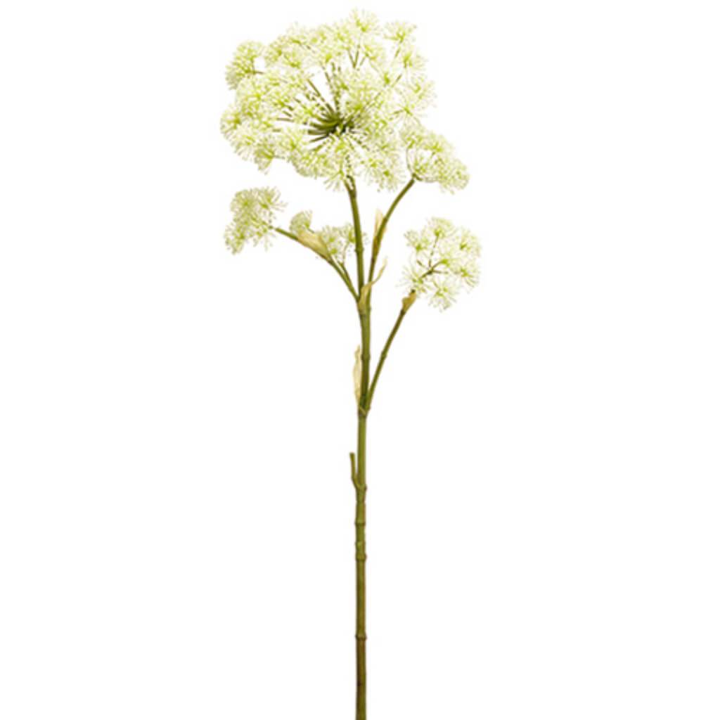 Cow Parsnip Spray 50&quot; Cr/Gr 