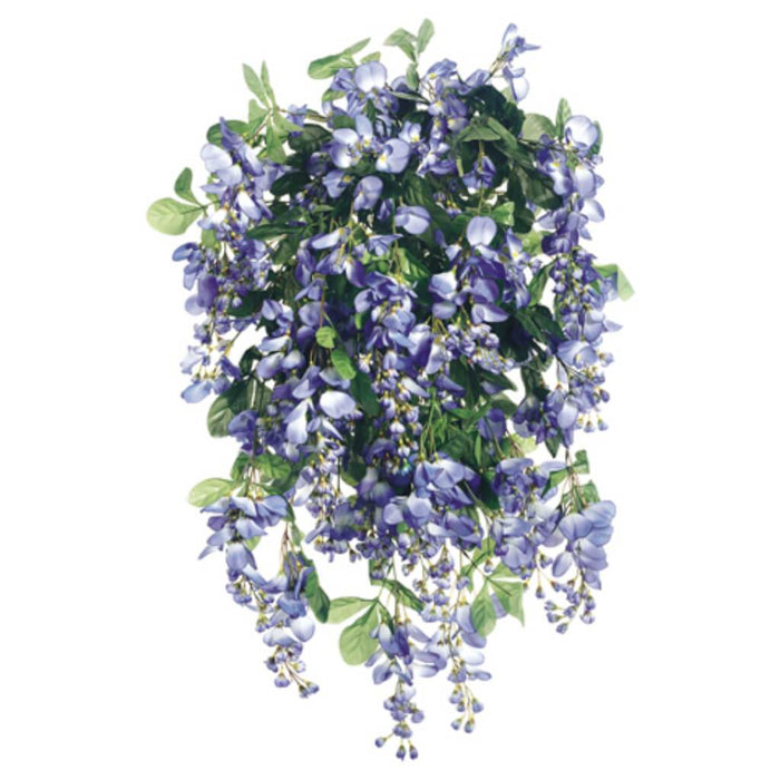 Wisteria Bush X45 31" Blue 