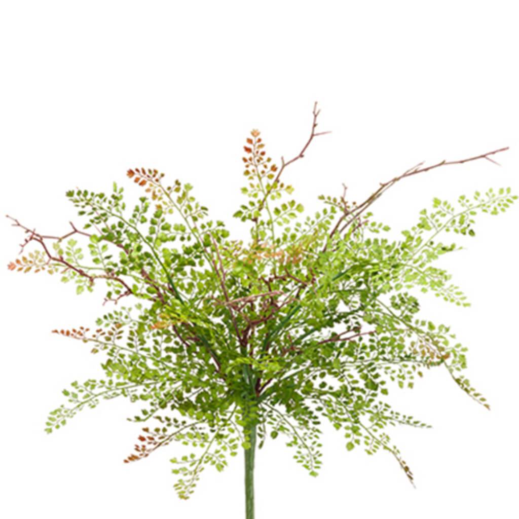 Maidenhair Fern Bouquet 24&quot; Gr 