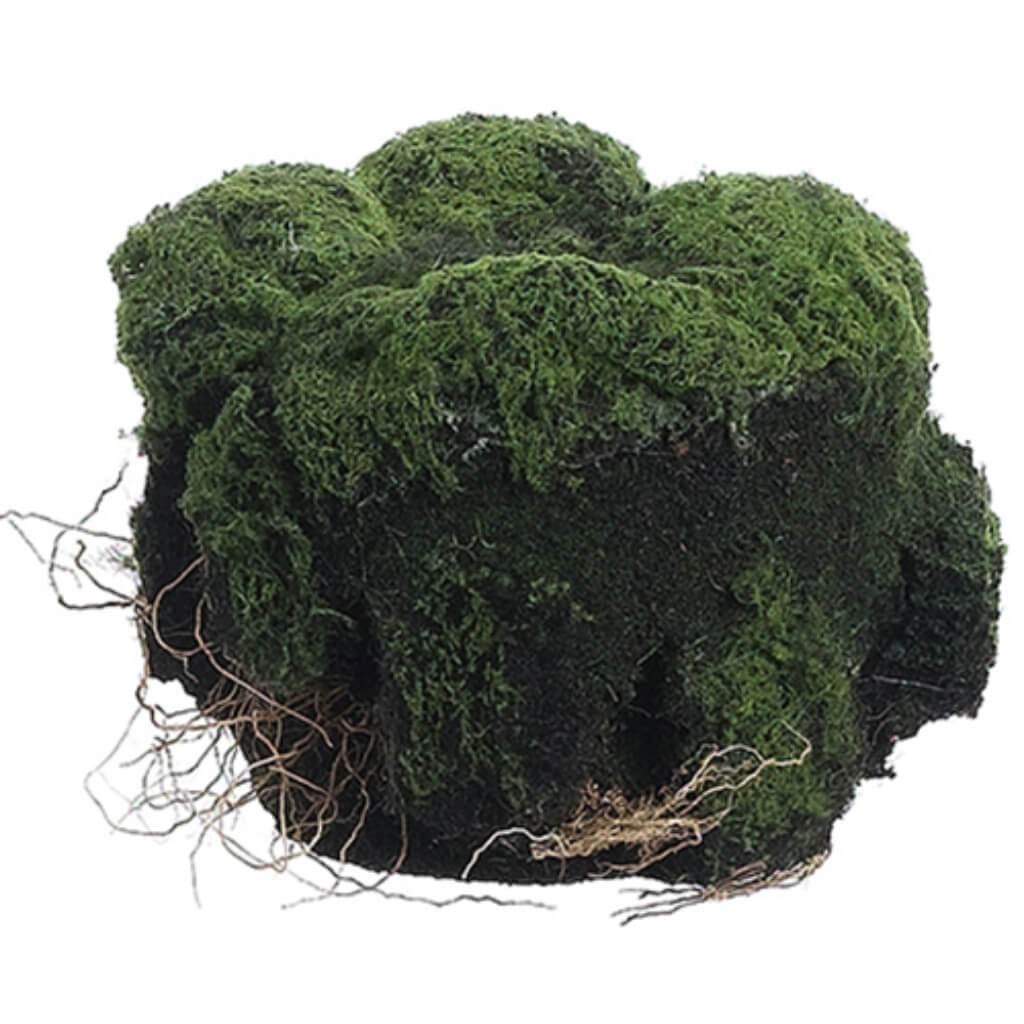 Moss/Soil Planter 4H4.5&quot; D Gr 