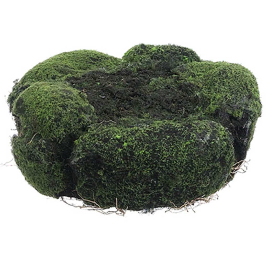 Moss/Soil Planter 5H9" D Gr 
