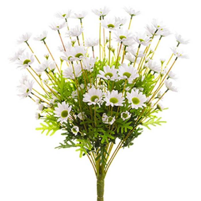 Daisy Bush X24 20.5" Wh 