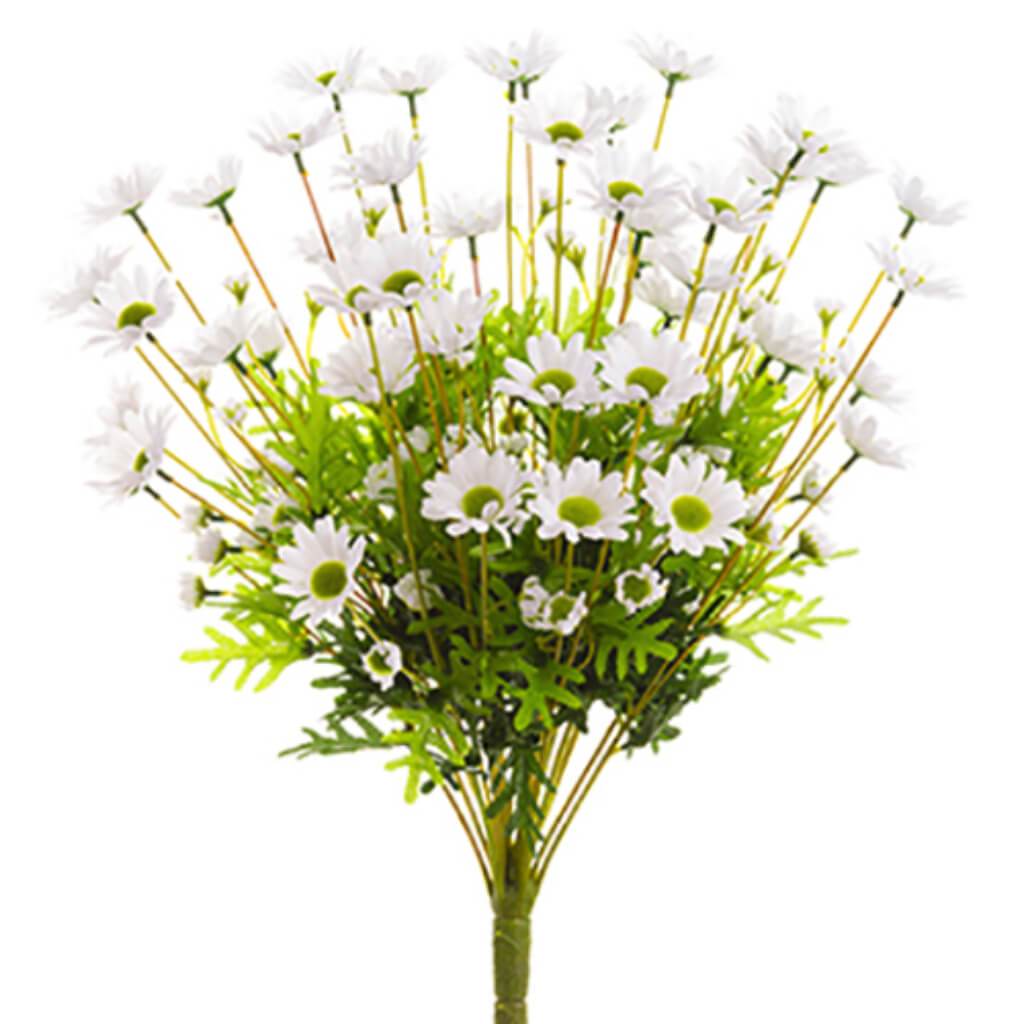 Daisy Bush X24 20.5" Wh 