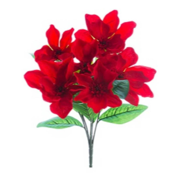 Magnolia Bush X6 20" Re 