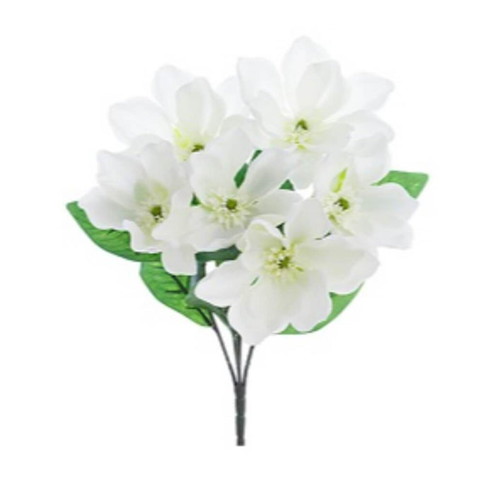 Magnolia Bush X6 20" Wh 