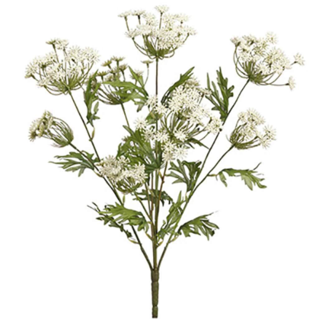 Queen Anne&#39;S Lace Bush X5 21.5&quot; 