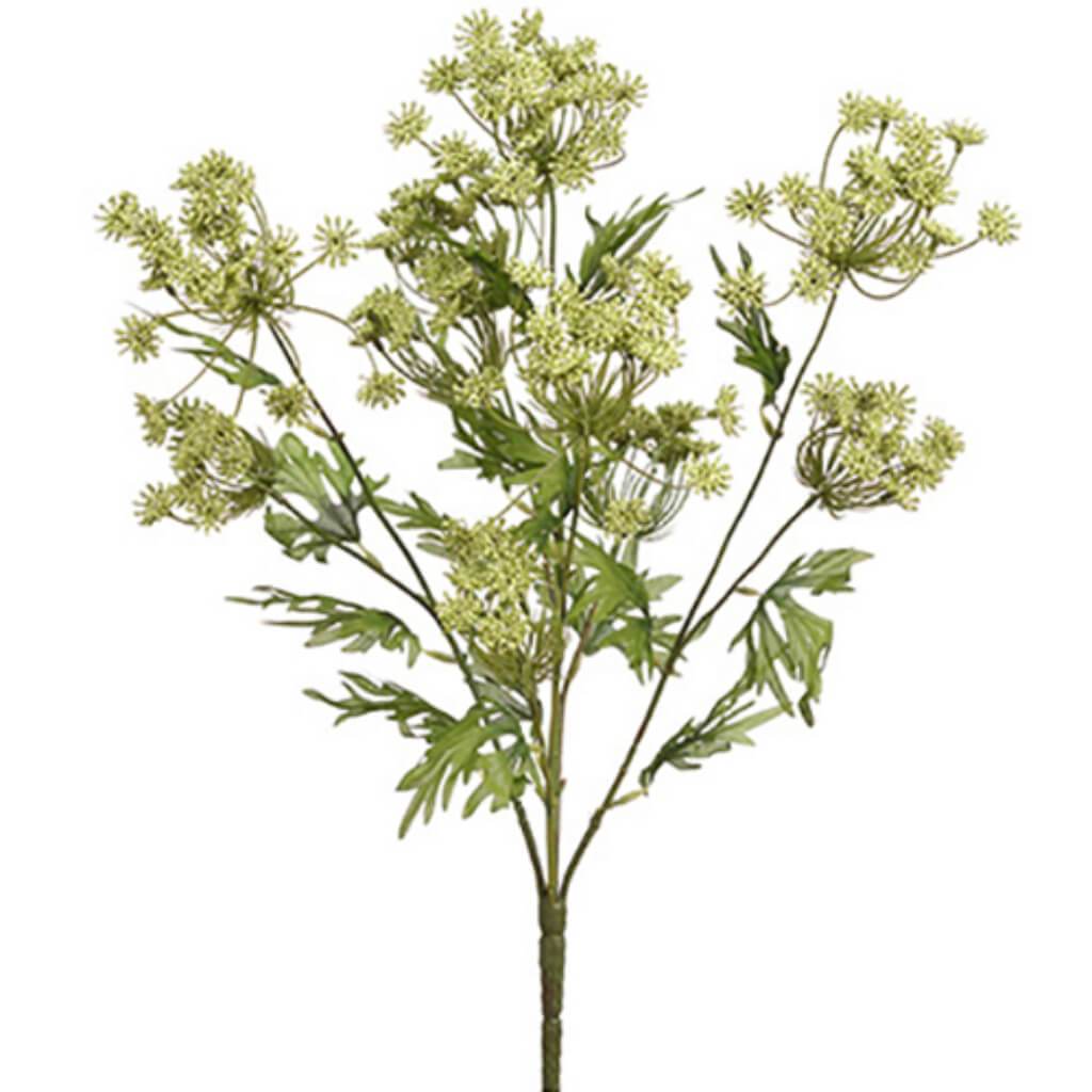 Queen Anne&#39;S Lace Bush X5 21.5&quot; 