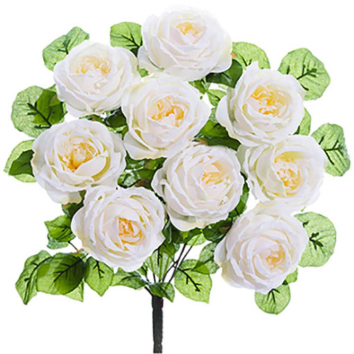 Rose Bush X9 20" Cr 