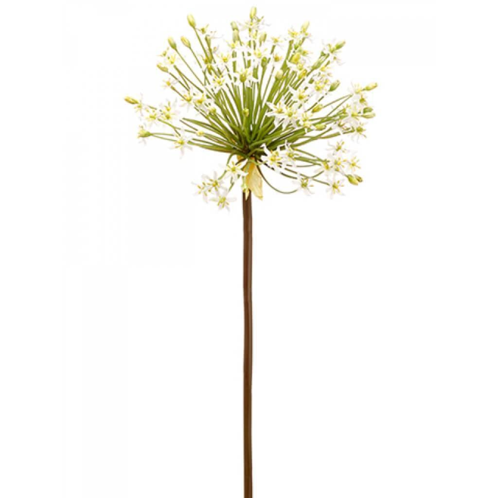 Allium Spray 34&quot; Wh 