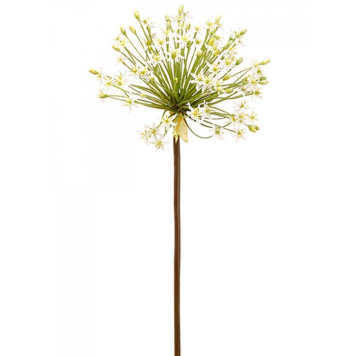Allium Spray 34" Wh 