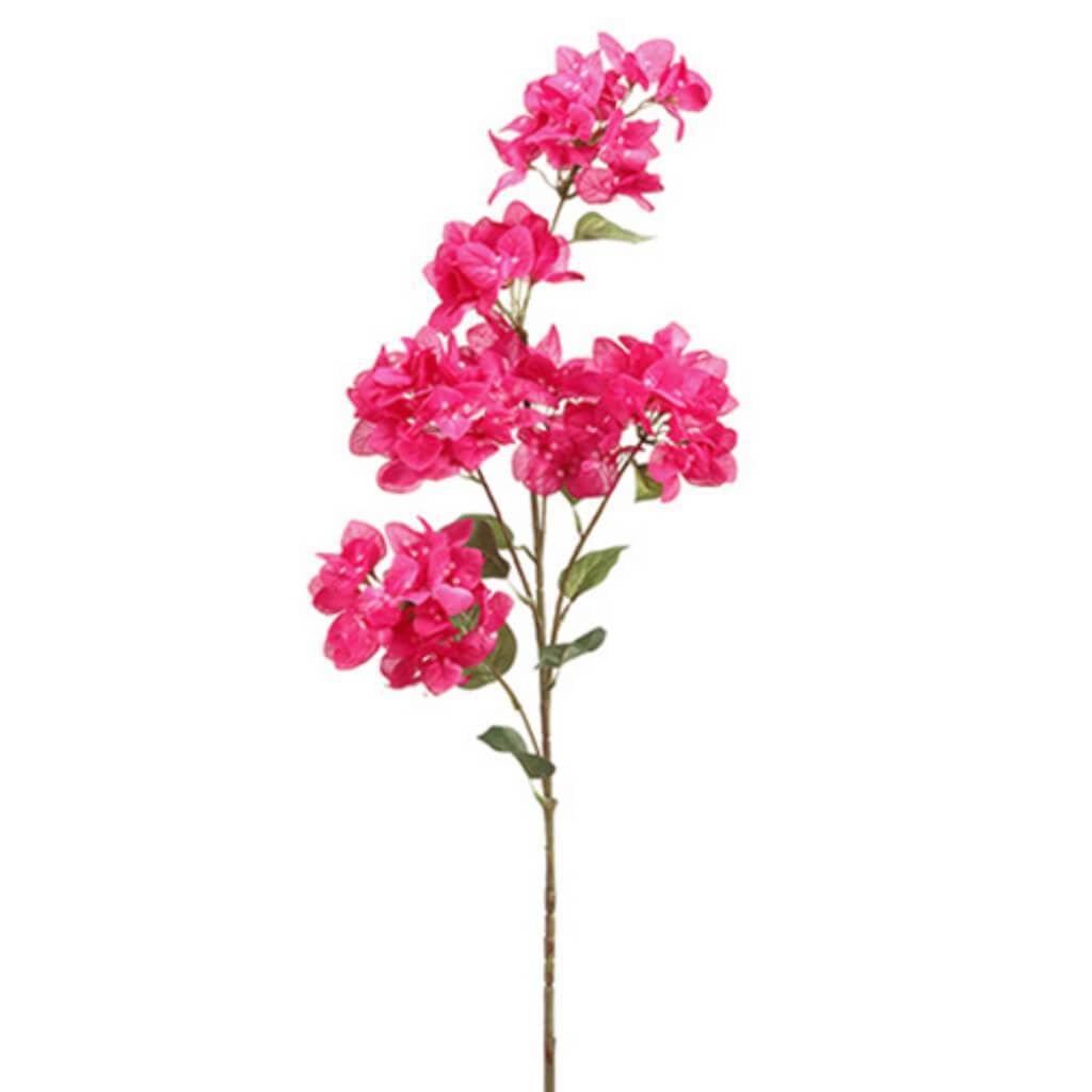 Bougainvillea Spray 44&quot; Fu/Tt 