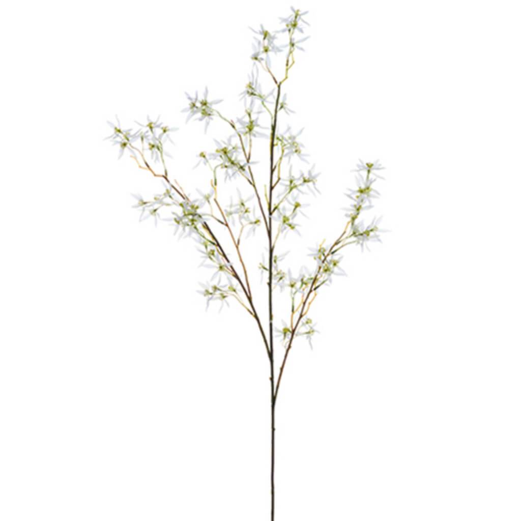 Star Blossom Spray 49" Wh 