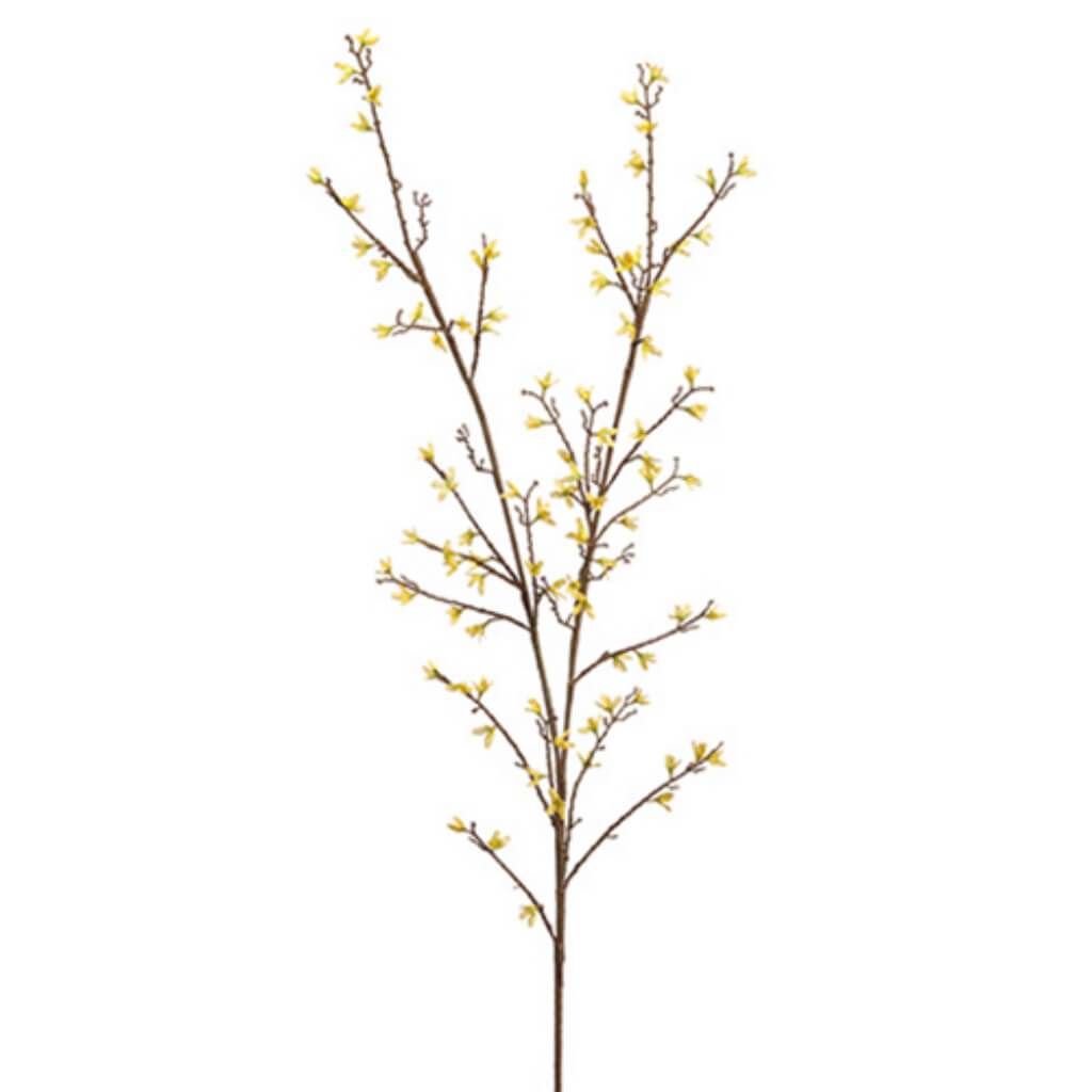 Forsythia Branch X2 54&quot; Ye 