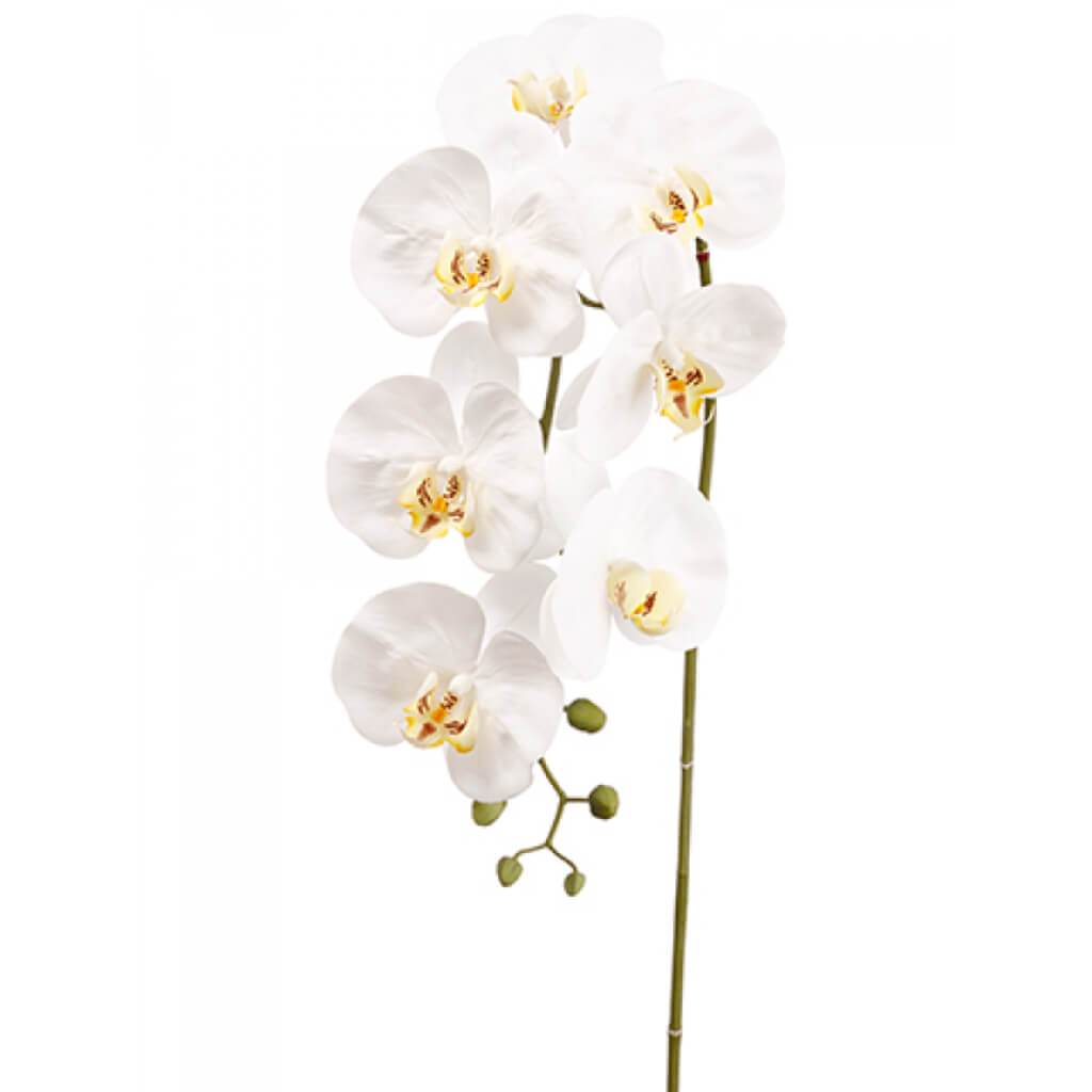 Phalaenopsis Orchid Spray 42&quot; 